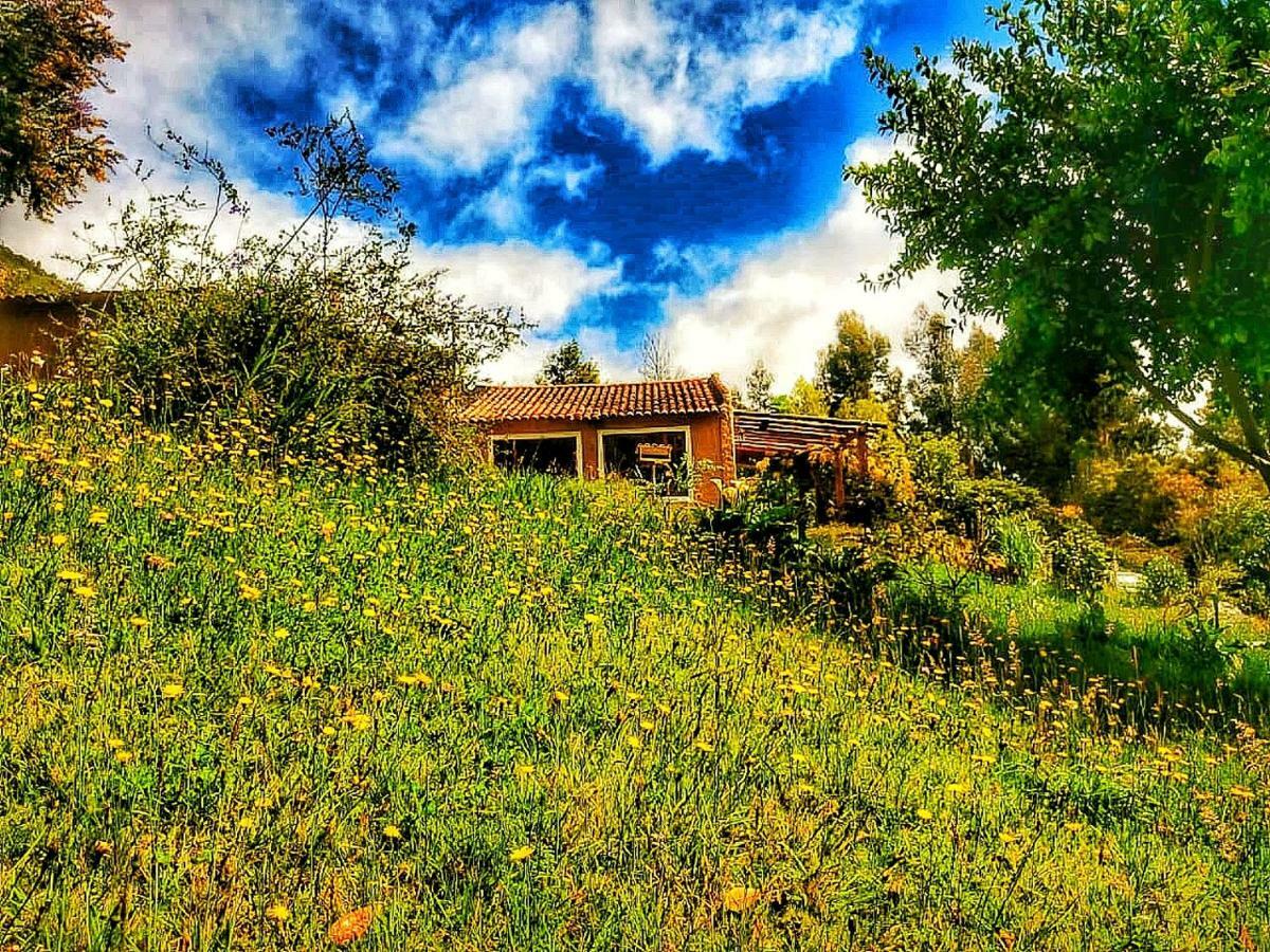 The Naked House - Hotel Nudista Nemocon Kültér fotó